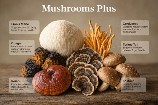 MUSHROOM + 30 DAY SUPPLY