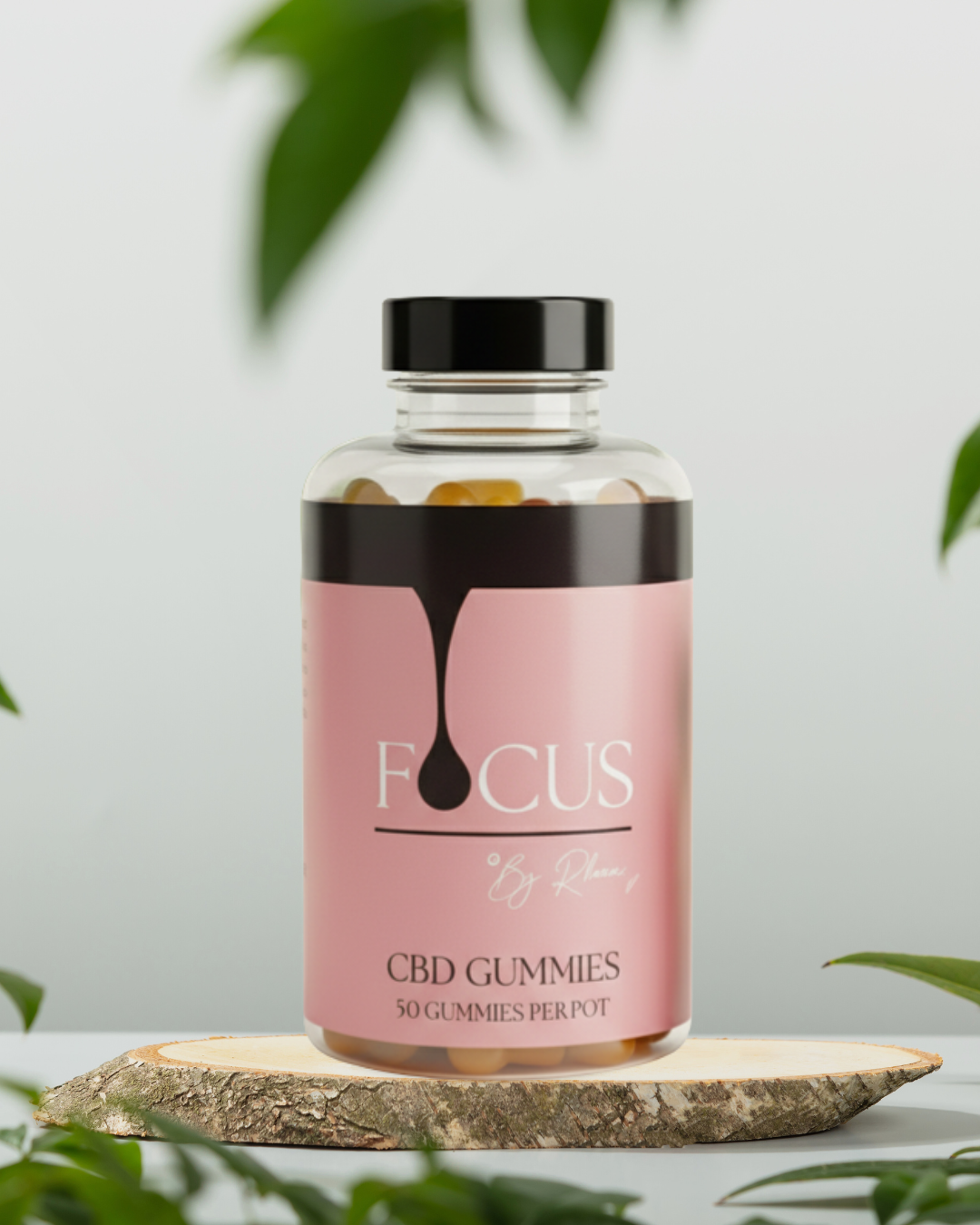 50 PACK CBD GUMMIES!